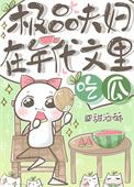 极品年代宠文