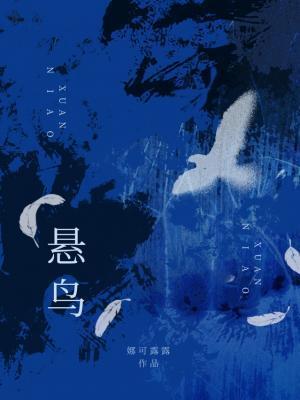 悬鸟by娜可露露txt