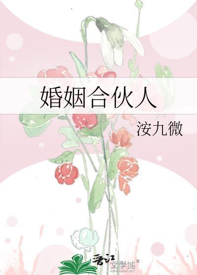 婚姻合伙人短剧免费观看全集