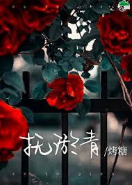 抚淤青作者烤糖