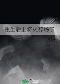 重生后上将火葬场了 百度