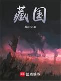 藏国笔趣阁全文免费