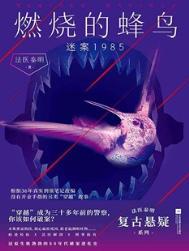 燃烧的山峰第八集