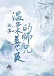 我那温柔善良的师兄作文