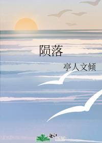 陨落之光