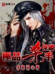极品杀手之王