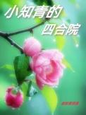 小知青的四合院百度