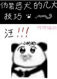 伪装恶犬的几大技巧免