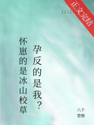 宿敌孕反?资源番外
