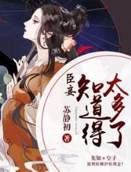 臣妾知道得太多了txt百度资源链接