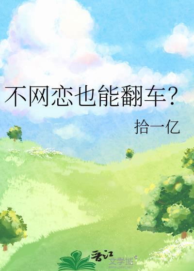 不网恋用英语怎么说