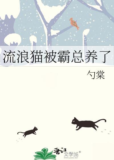 被流浪猫一直跟着是因为什么