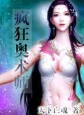 疯狂奥术师无弹