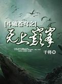 斗破苍穹之无上之巅