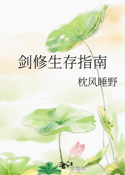 剑修的修炼指南