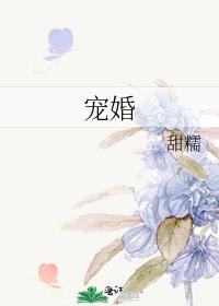 宠婚入骨