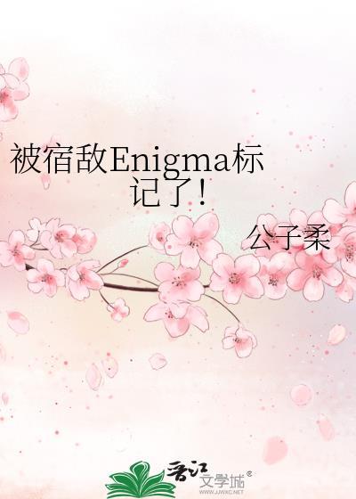 被宿敌Enigma标记了