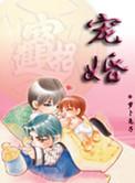 宠婚免费阅读全文
