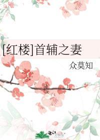 红楼首辅之妻txt