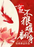 女配不易做全文免费阅读