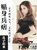 贴身兵皇简介