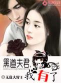 误惹霸道少帅