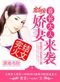首长大人娇妻来袭全文免费阅读