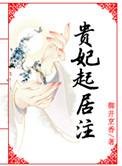 贵妃起居注每个人结局