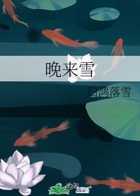 晚来雪谁攻 归鸿落雪