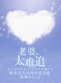 老婆不易追txt