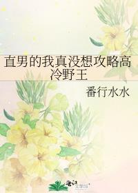直男的我真没想攻略高冷野王 作话番外