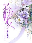 红楼之孤女手札