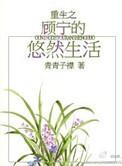 主角是顾宁的