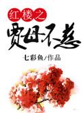 红楼之贾母不慈免费