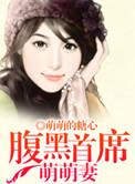 腹黑首席宠妻无度