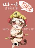 一碗红烧肉阅读