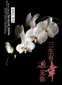 三生有幸遇见你大结局