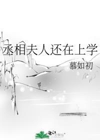 丞相夫人又跑了全文