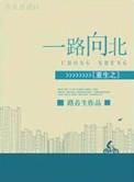 重生之一路向北by路苔生讲什么