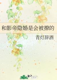 和影帝隐婚的曰子