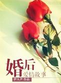婚后爱情故事 作者伊人尹