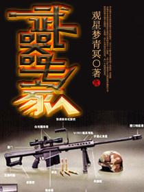 武器专家全本