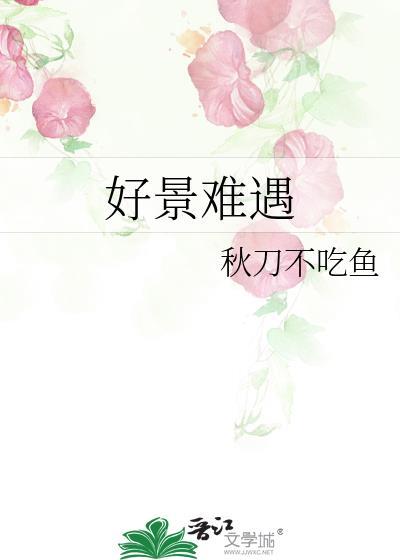 好景难遇如你一般的意思