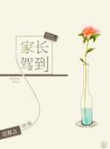 家长驾到完整版