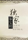 鉴宝专家免费阅读