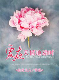 爱在天摇地动时 电视剧