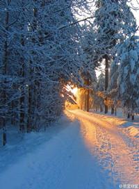 归路电视剧全集