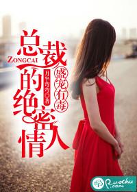 总裁盛宠宝贝妻