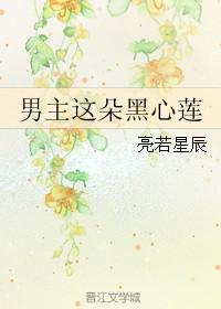 男主这朵黑心莲番外txt
