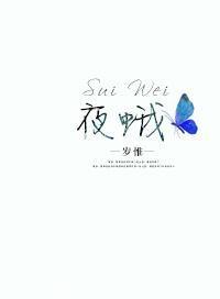 夜蛾讲的什么